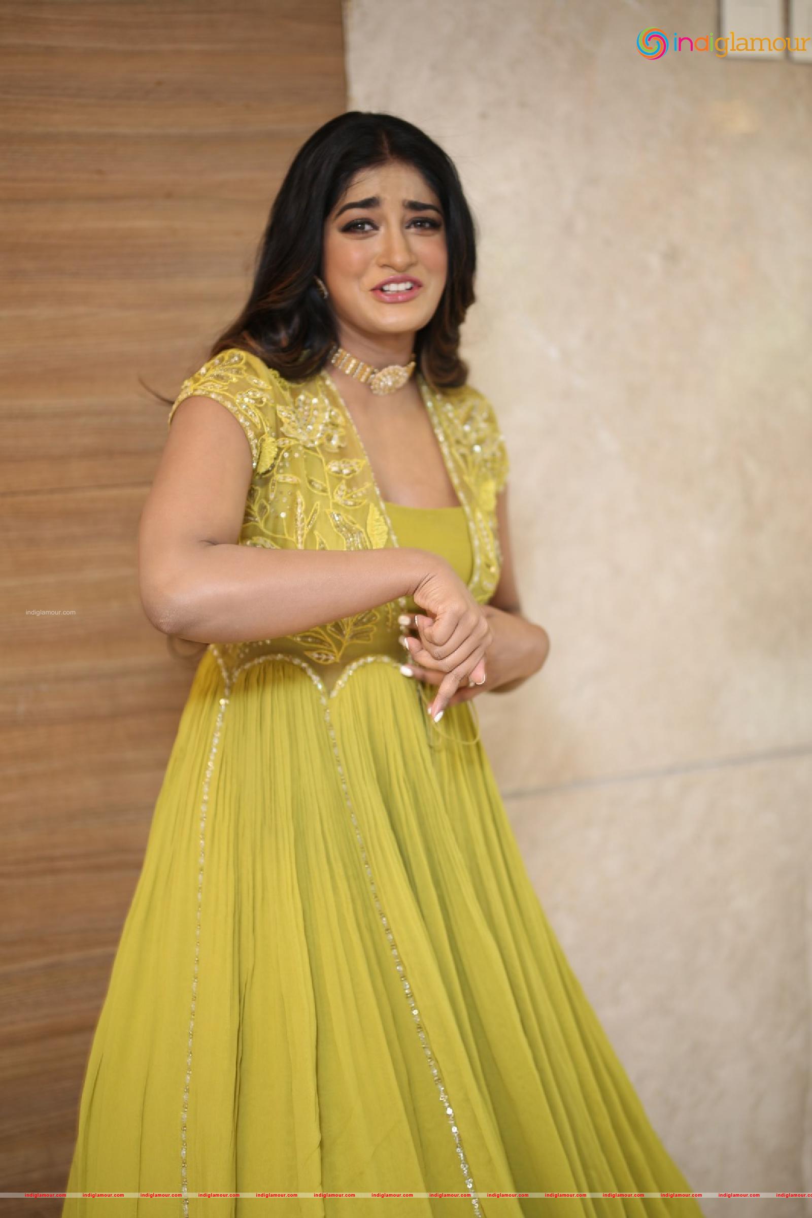 Dimple Hayathi Actress hd photo