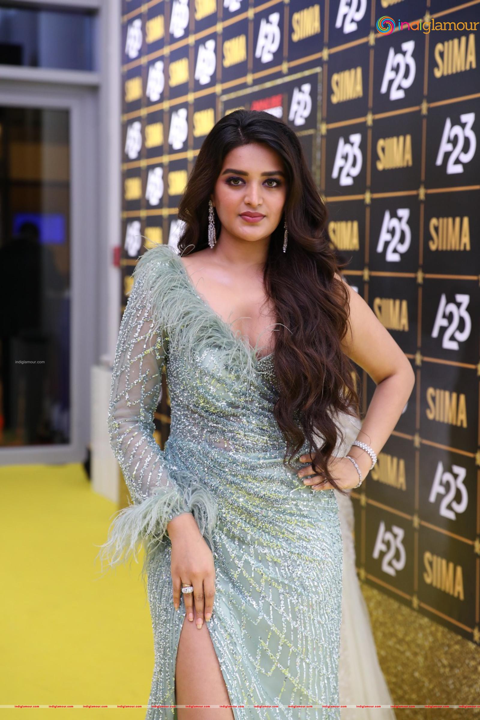 Nidhhi Agerwal Actress hd photo