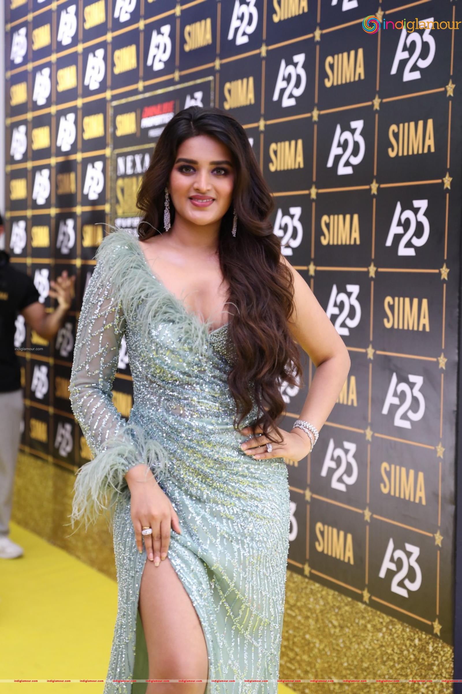 Nidhhi Agerwal Actress hd photo