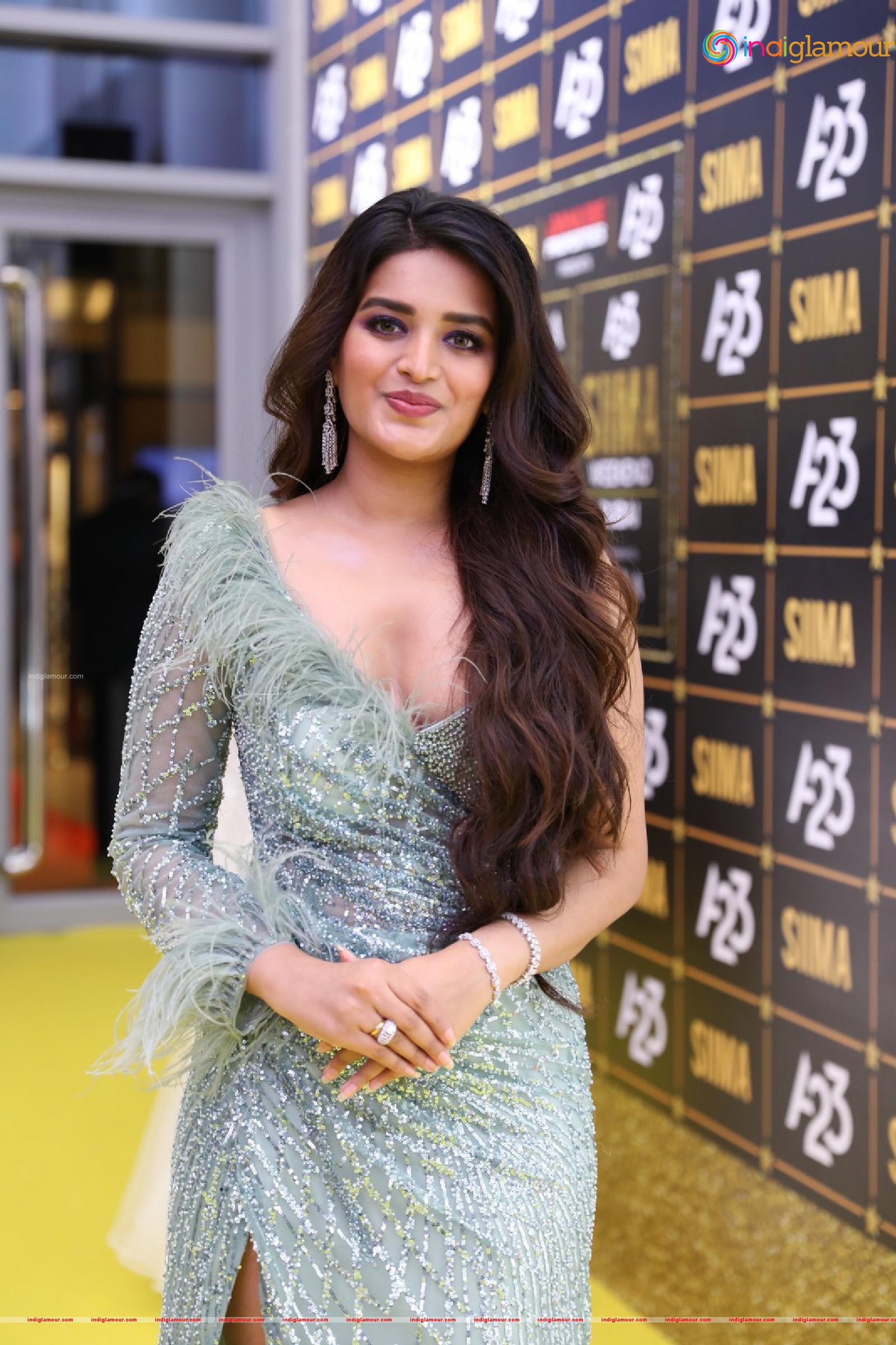 Nidhhi Agerwal Actress hd photo
