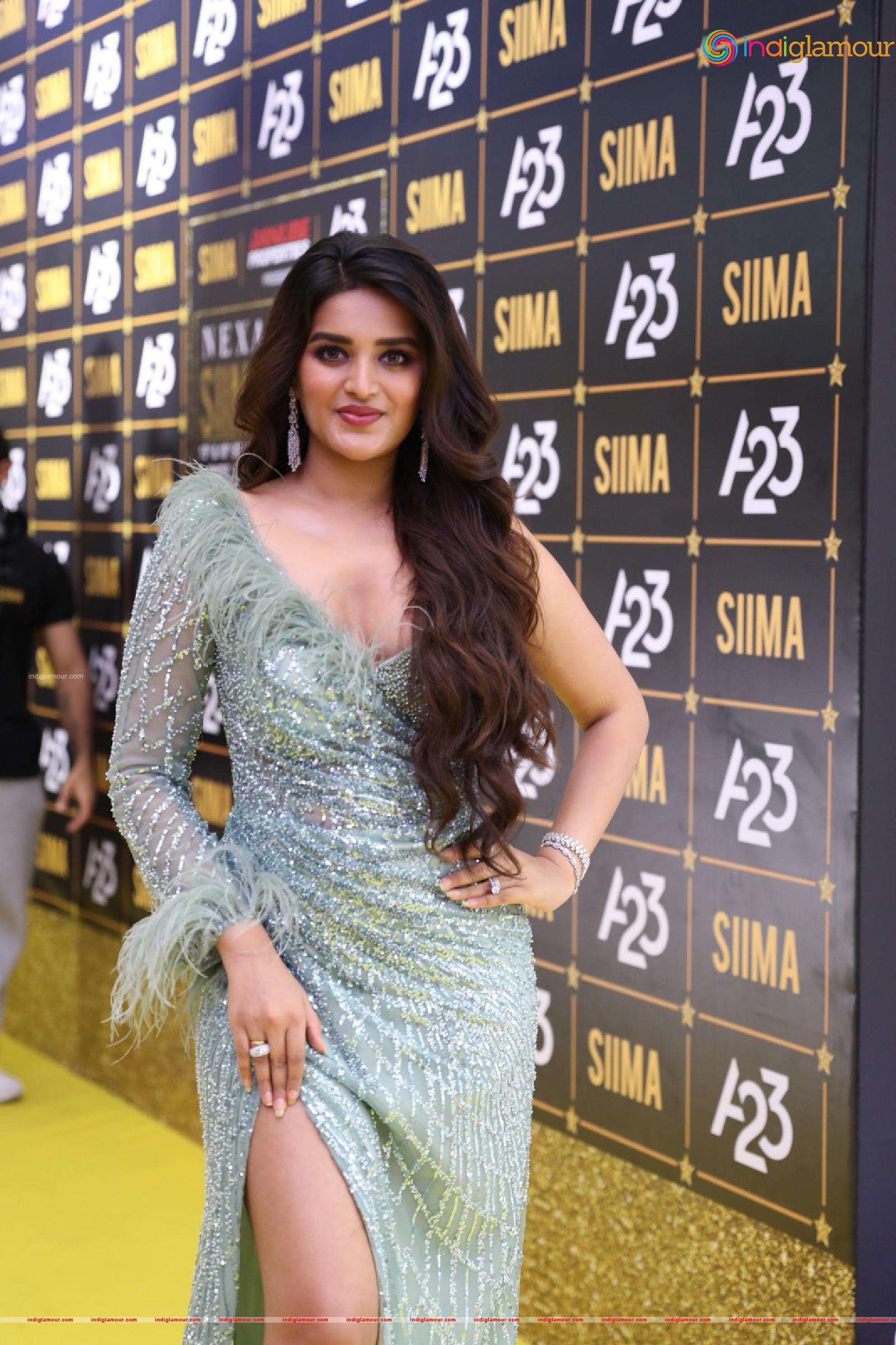 Nidhhi Agerwal Actress hd photo
