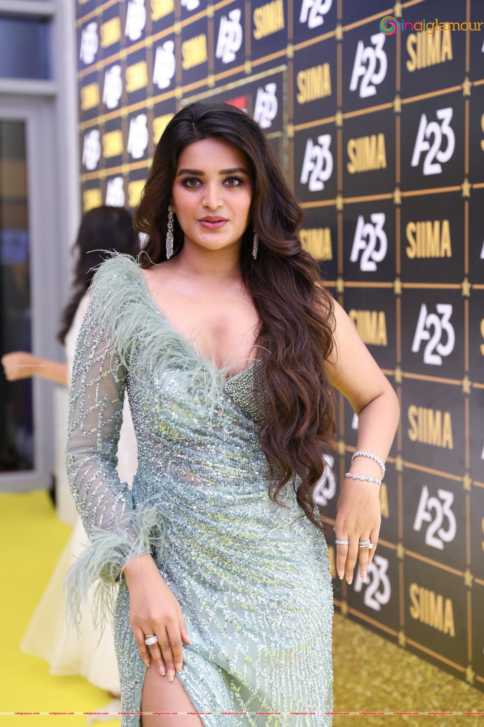 Nidhhi Agerwal Actress hd photo