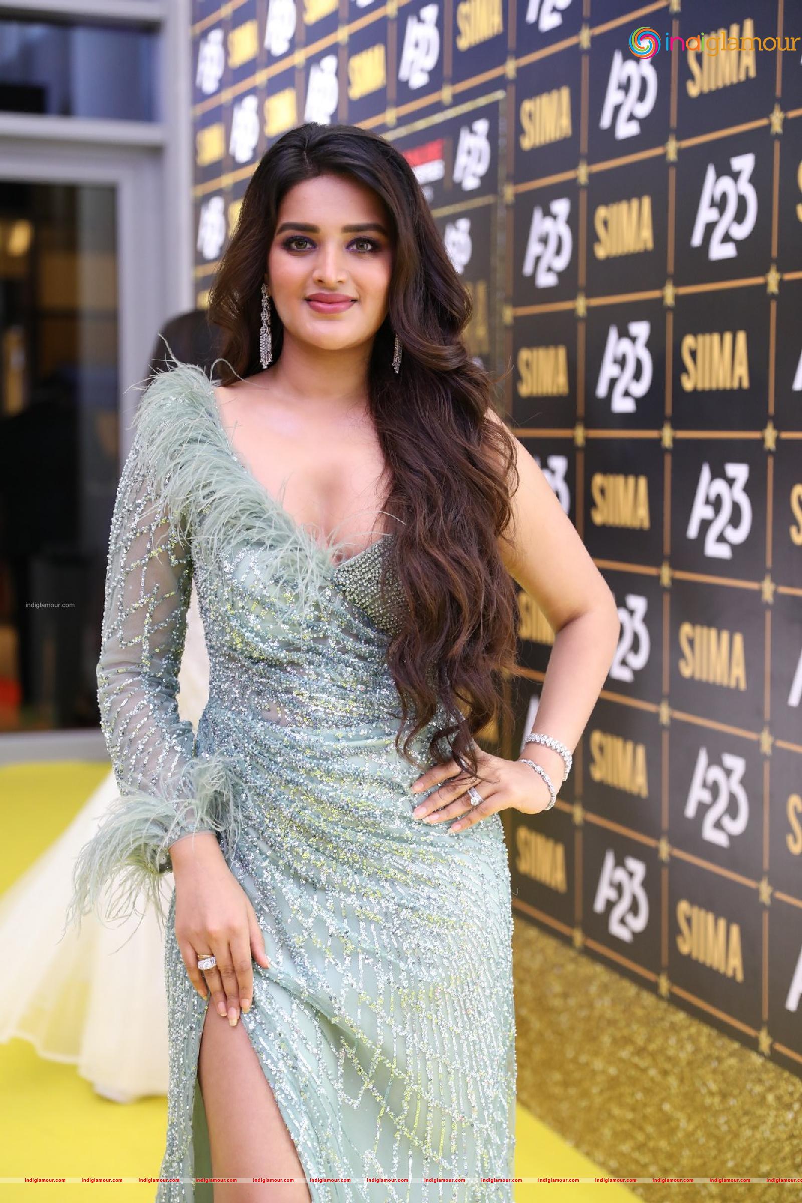 Nidhhi Agerwal Actress hd photo