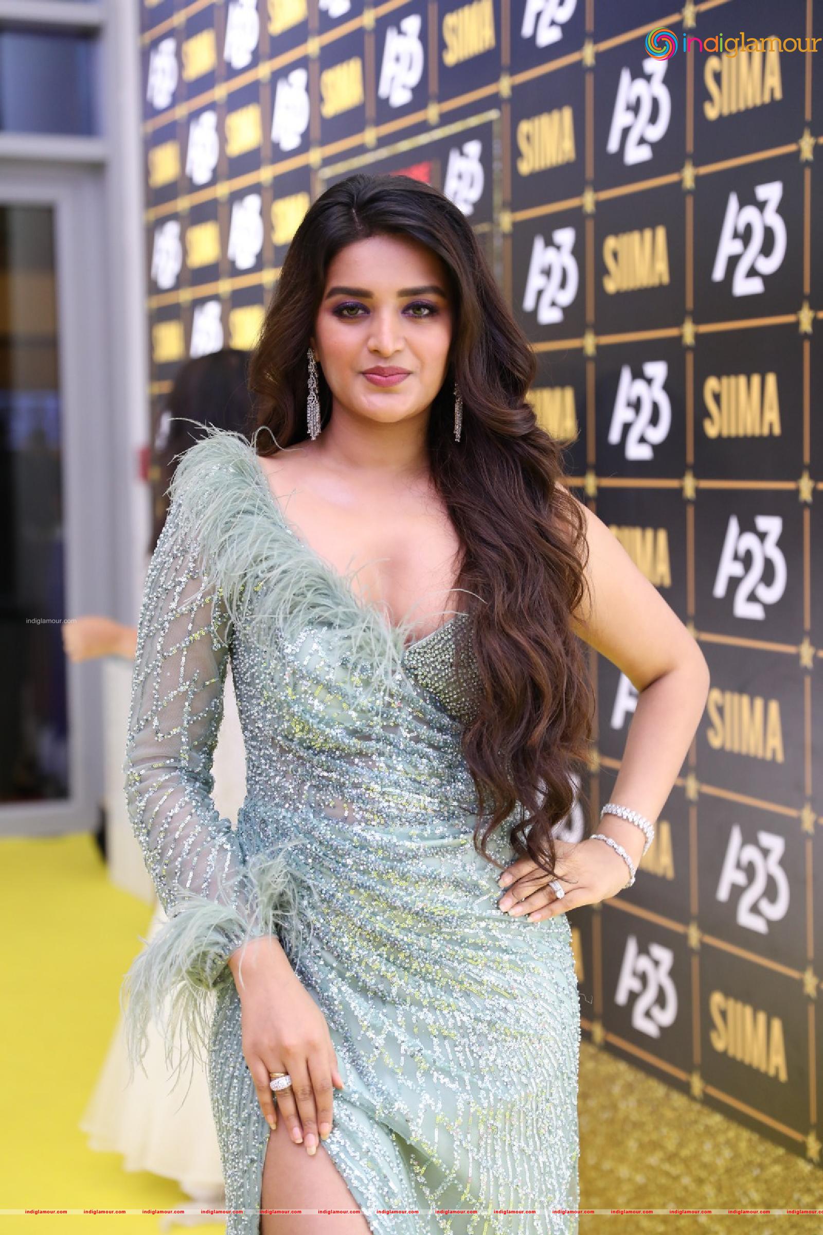 Nidhhi Agerwal Actress hd photo