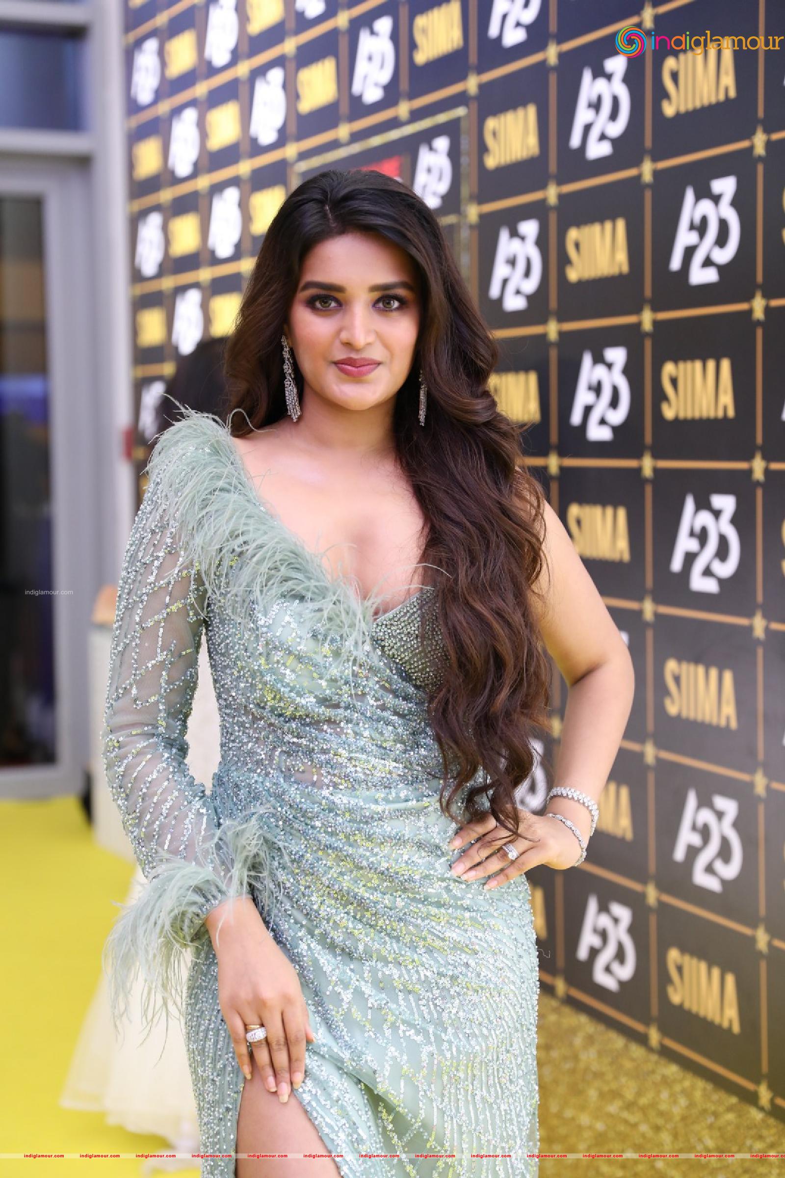 Nidhhi Agerwal Actress hd photo