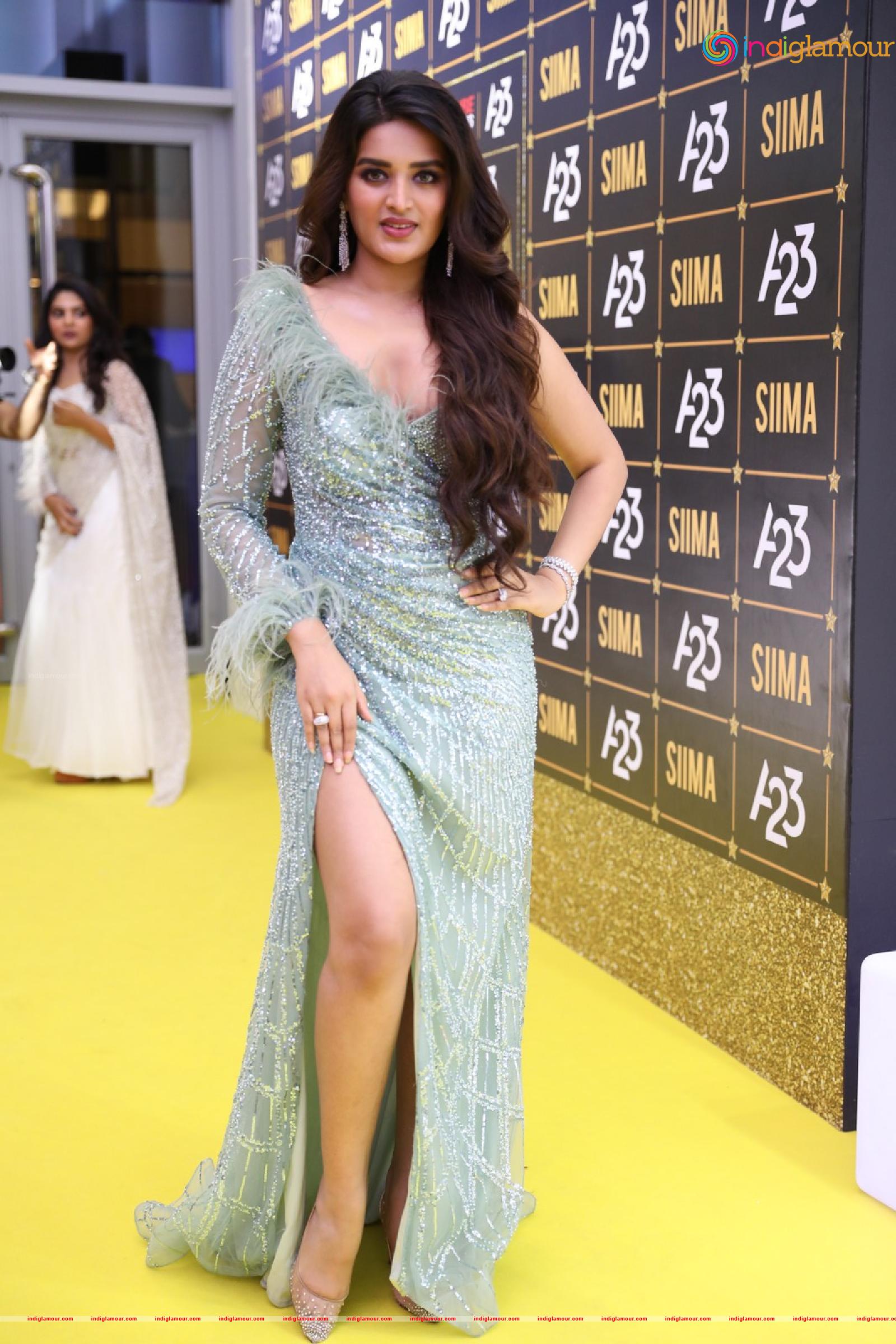 Nidhhi Agerwal Actress hd photo