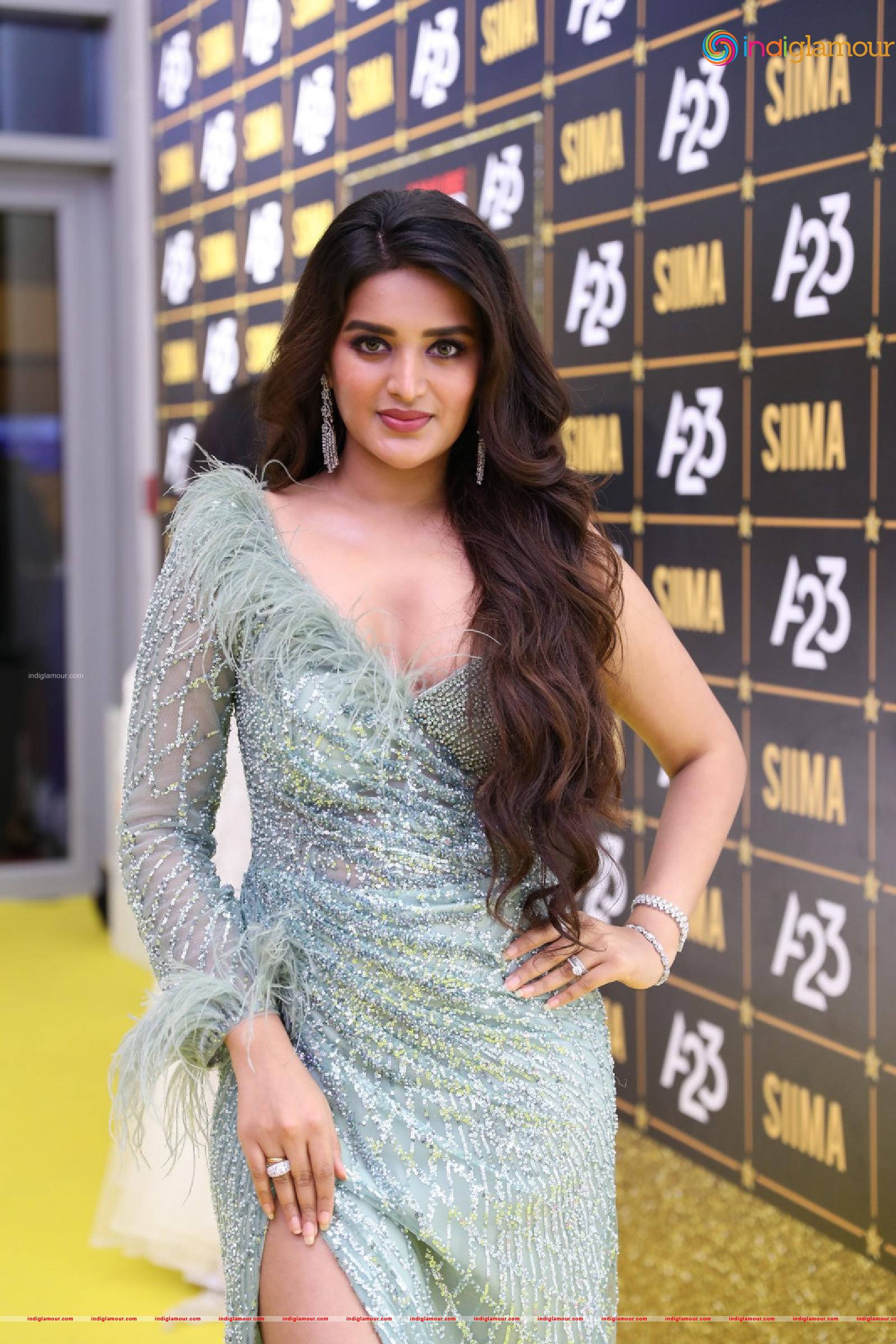 Nidhhi Agerwal Actress hd photo