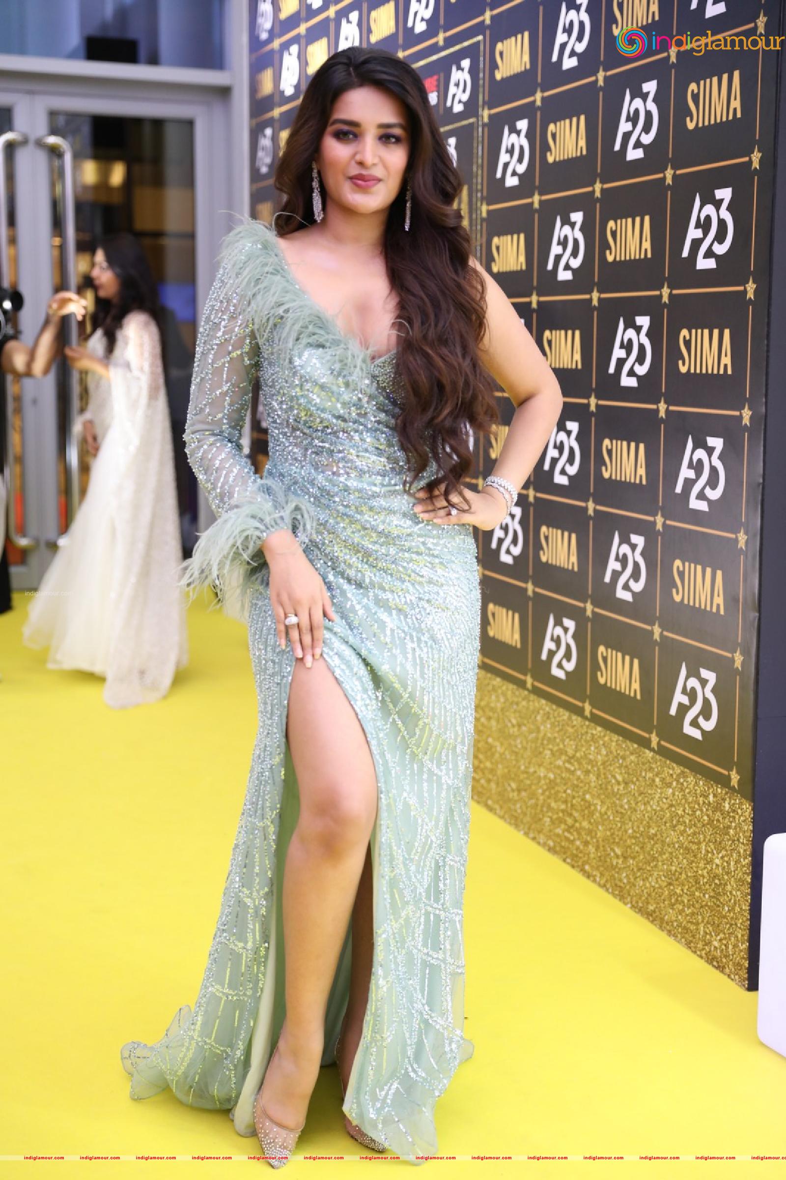 Nidhhi Agerwal Actress hd photo