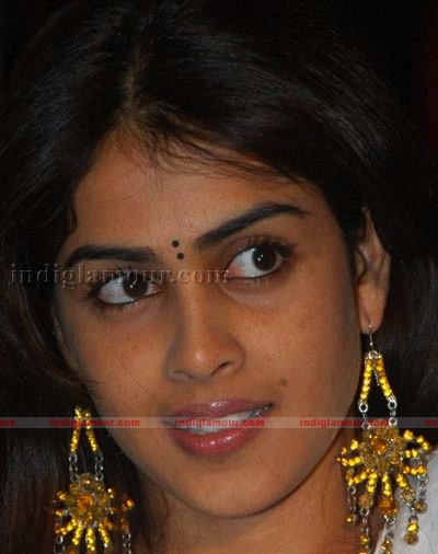 Genelia Actress hd photo