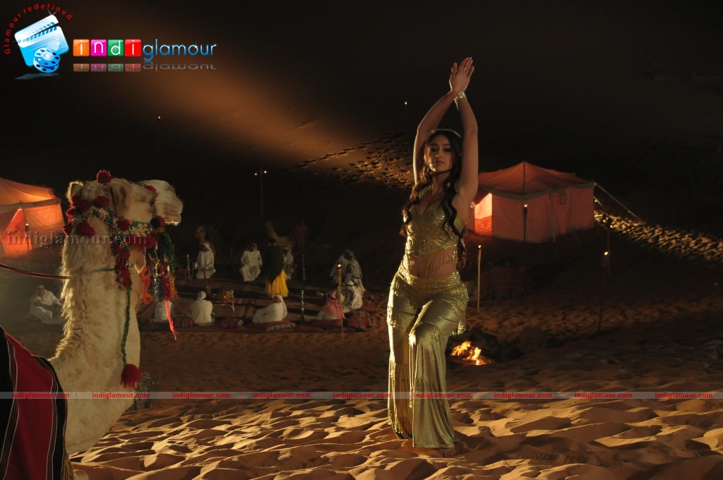 Ileana in Rechipo Actress hd photo