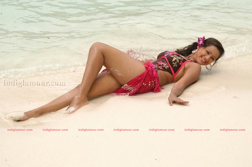 Madalasa Sharma Photos Actress hd photo