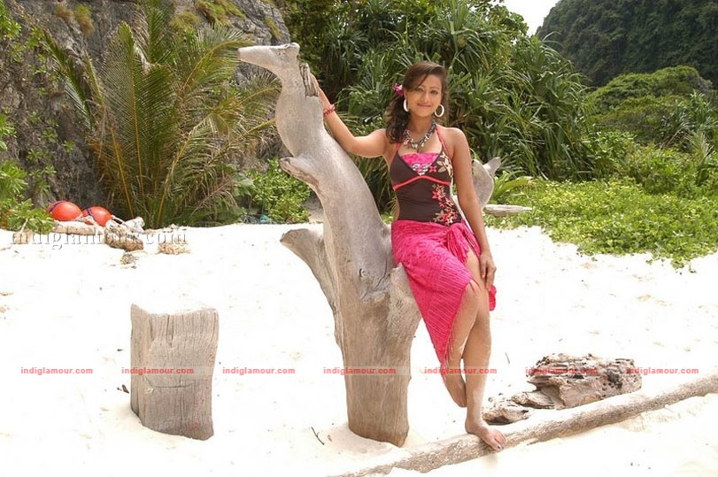 Madalasa Sharma Photos Actress hd photo
