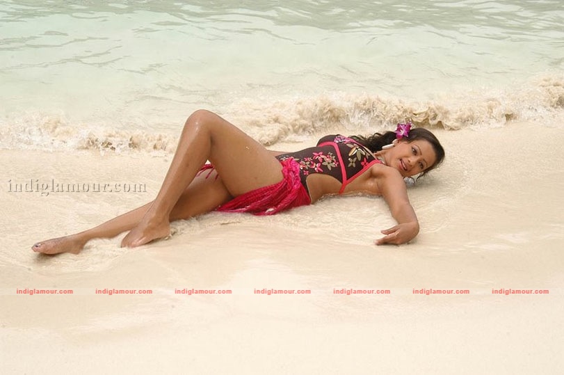 Madalasa Sharma Photos Actress hd photo