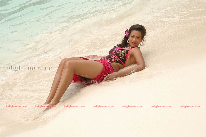 Madalasa Sharma Photos Actress hd photo