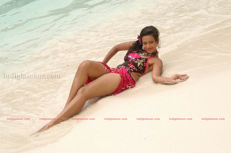 Madalasa Sharma Photos Actress hd photo