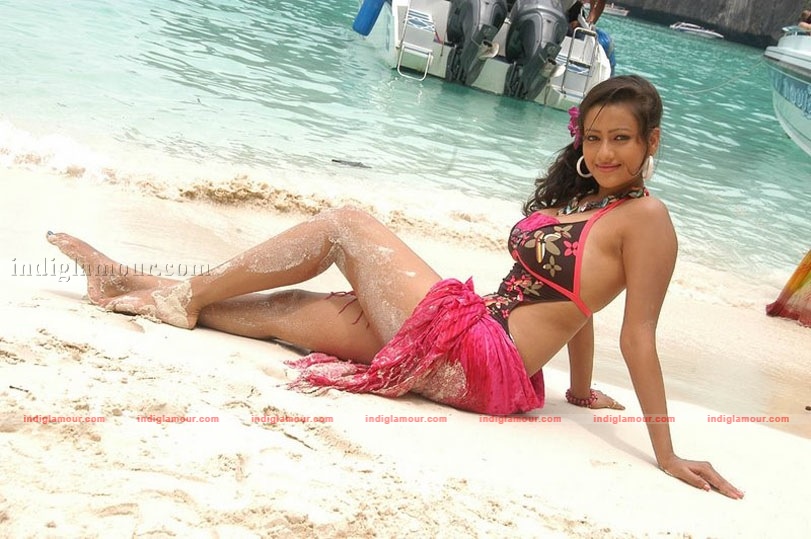 Madalasa Sharma Photos Actress hd photo