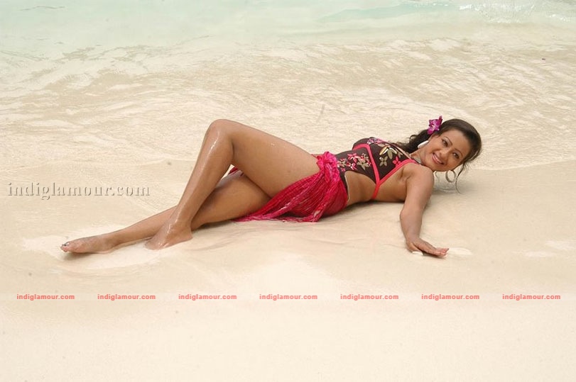 Madalasa Sharma Photos Actress hd photo