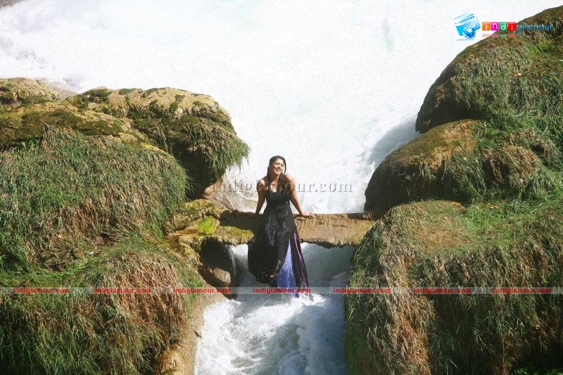 Nayantara in Black Actress hd photo