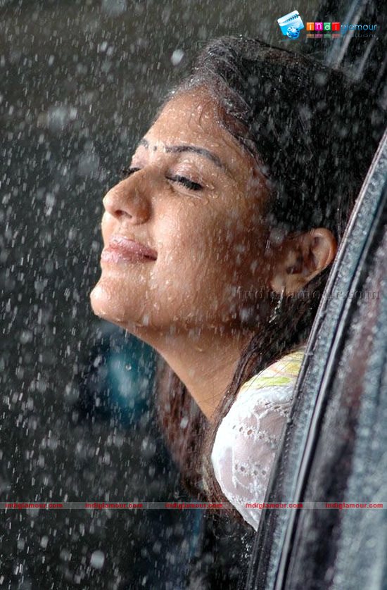 Nayantara Photos Actress hd photo