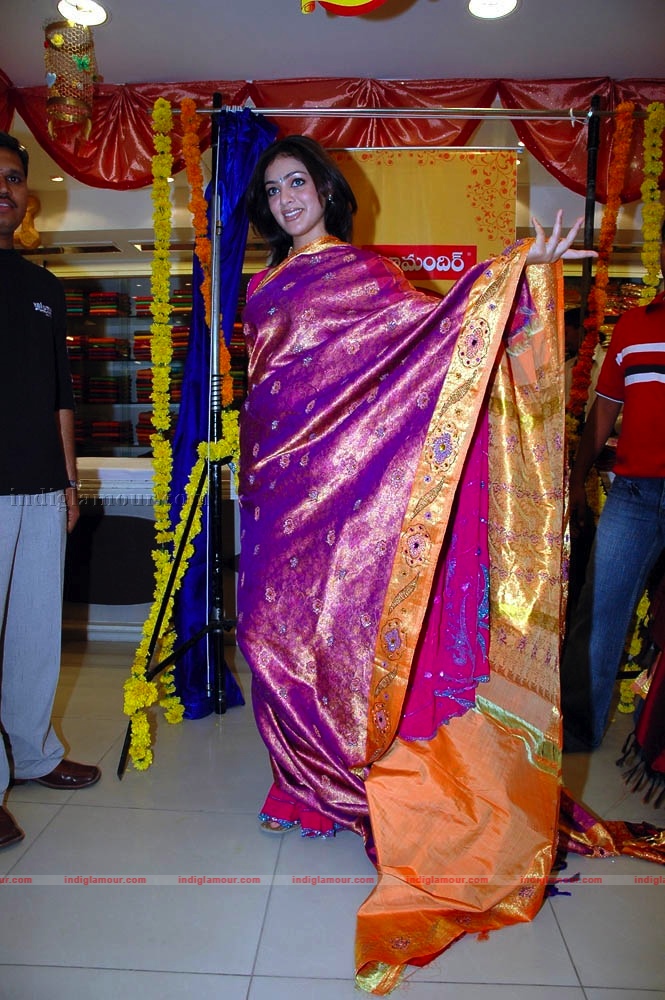 Parvathi Melton Photos Actress hd photo