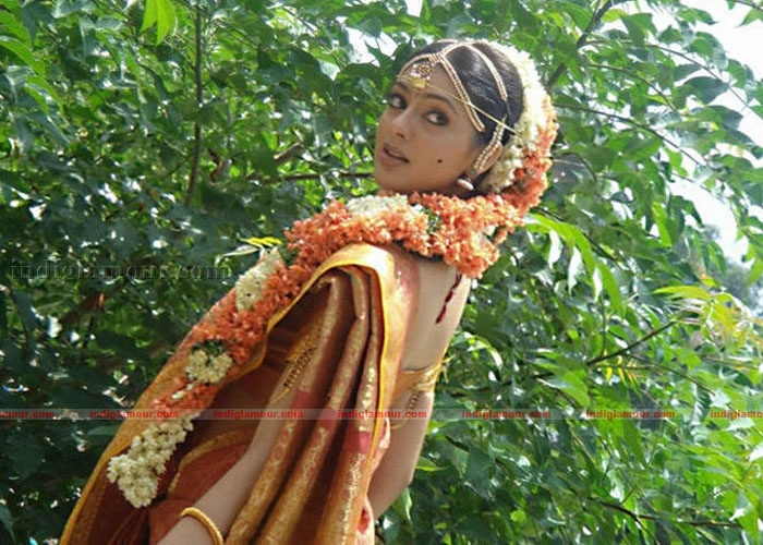 Parvathi Melton Photos Actress hd photo