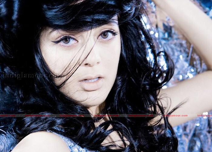 Parvathi Melton Photos Actress hd photo