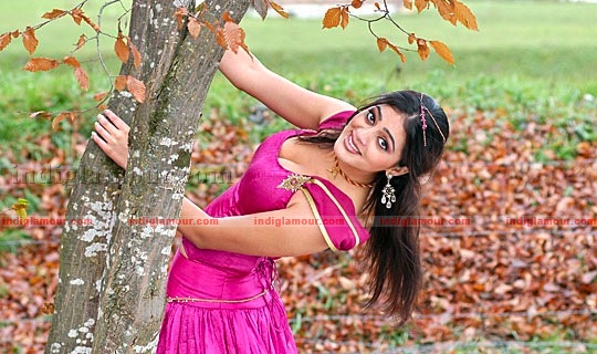 Parvathi Melton Photos Actress hd photo