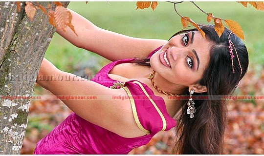 Parvathi Melton Photos Actress hd photo