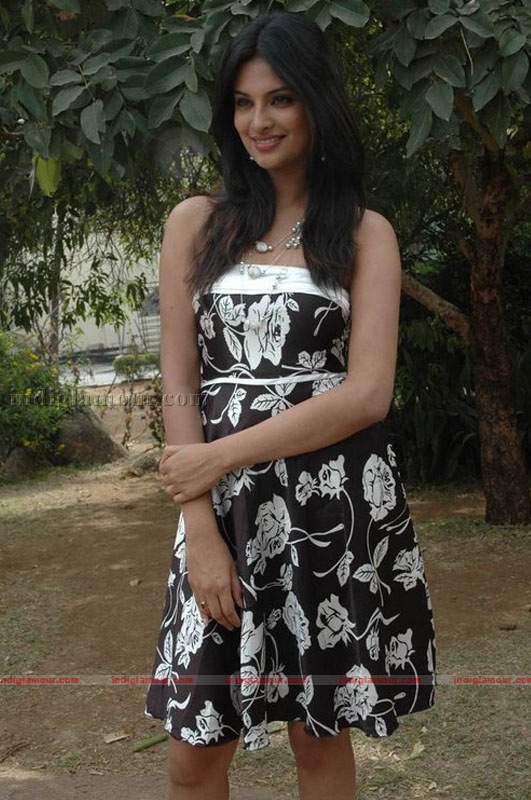 Sayali Bhagat Photos Actress hd photo