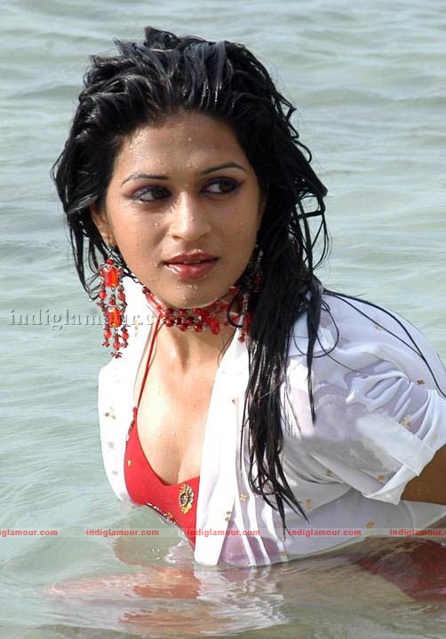 Shraddha Das Actress hd photo