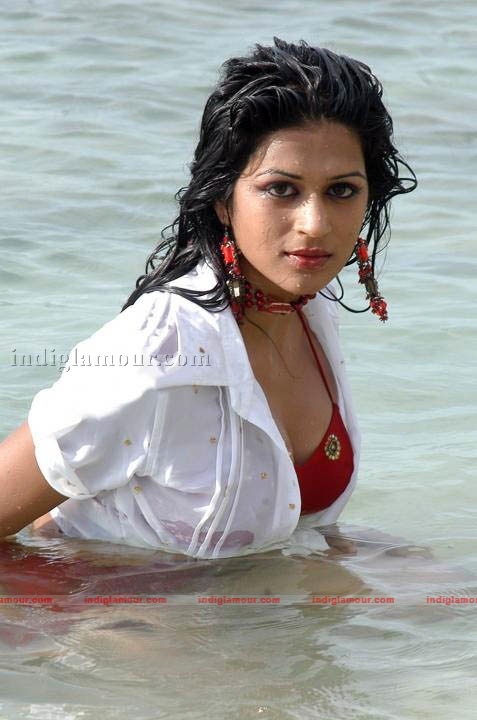 Shraddha Das Actress hd photo