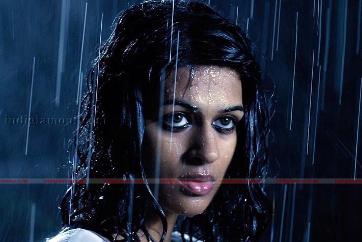 Shraddha Das Actress hd photo