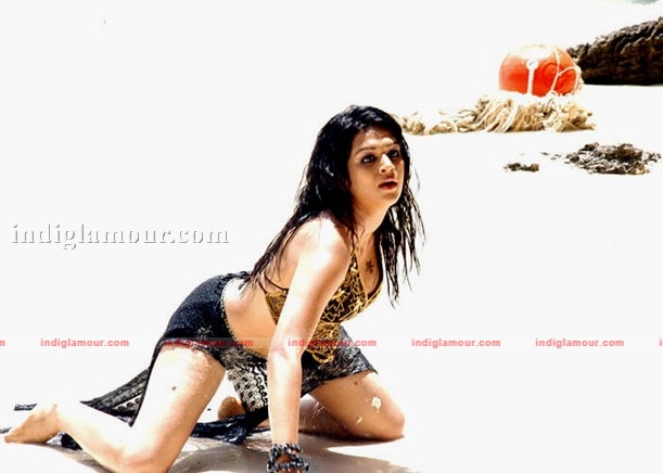 Shraddha Das Actress hd photo