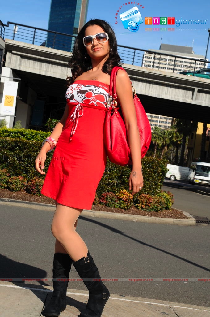 Trisha Photos Actress hd photo