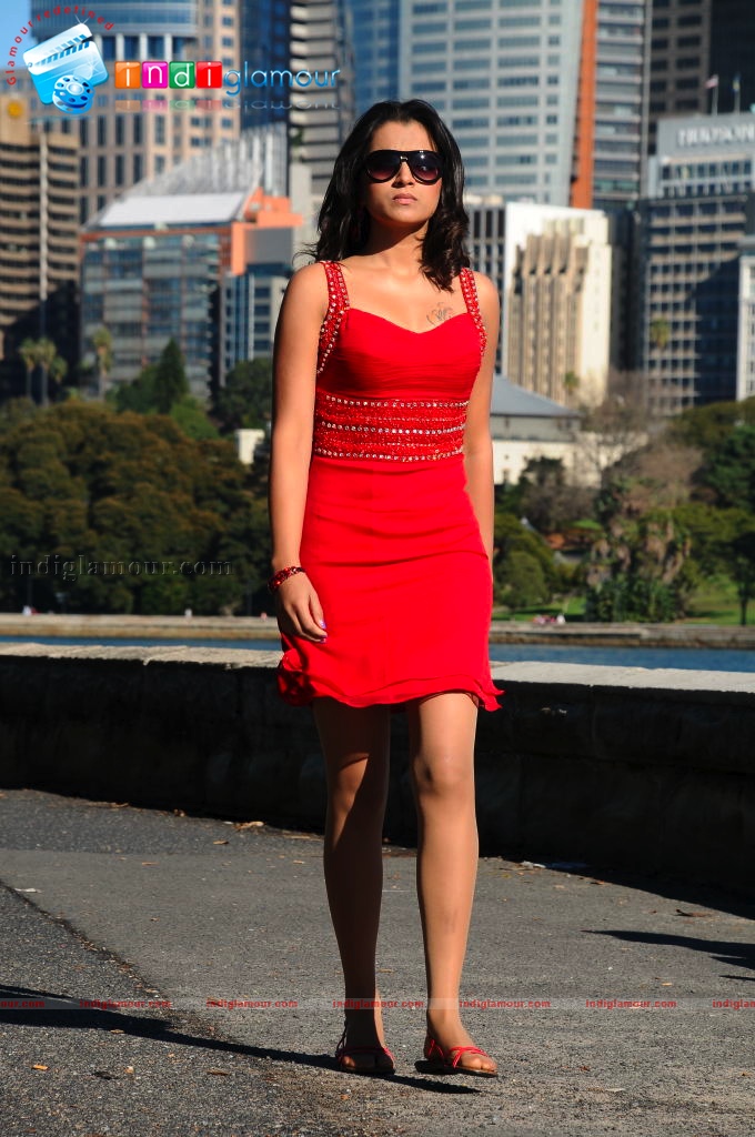 Trisha Photos Actress hd photo