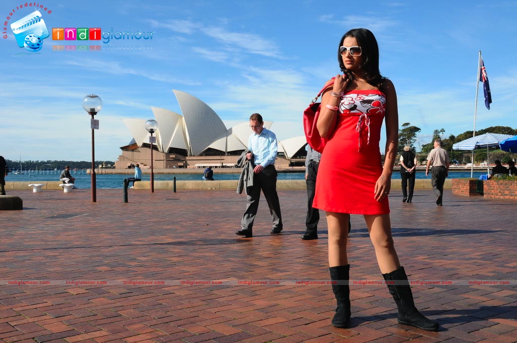 Trisha Photos Actress hd photo