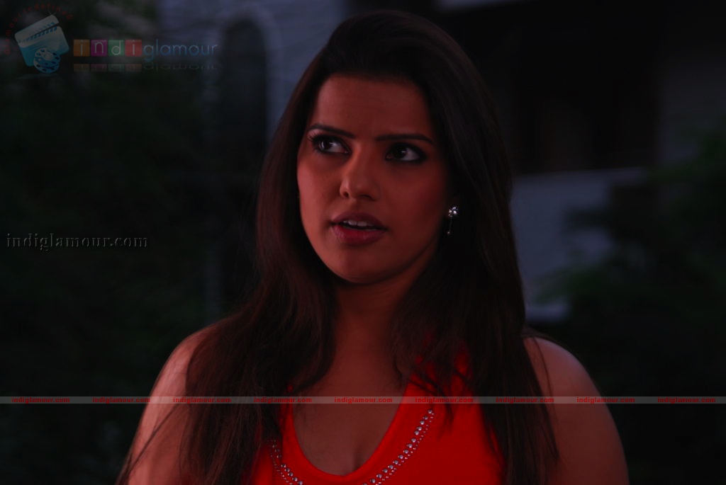 Madhu Sharma Actress hd photo