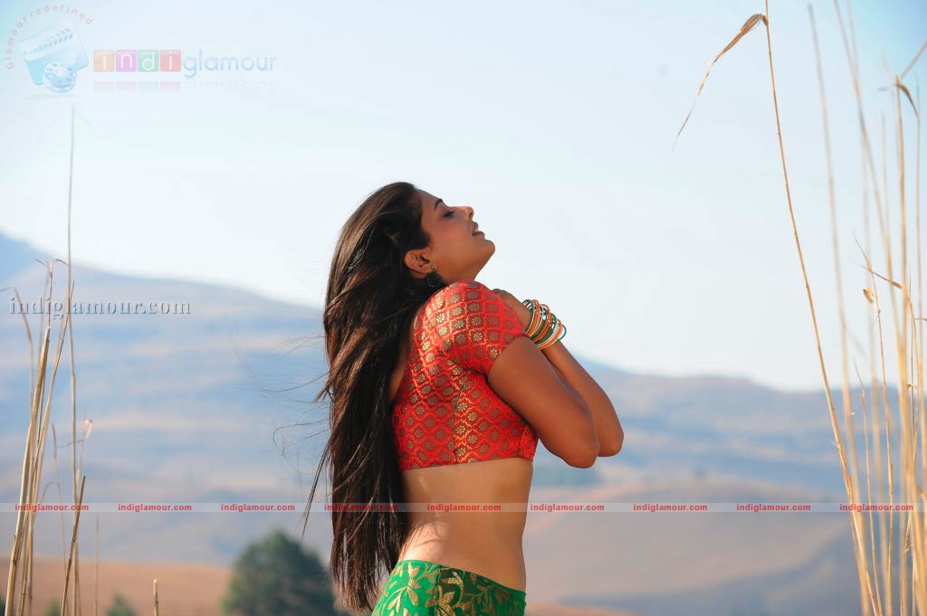 Priyamani Actress hd photo