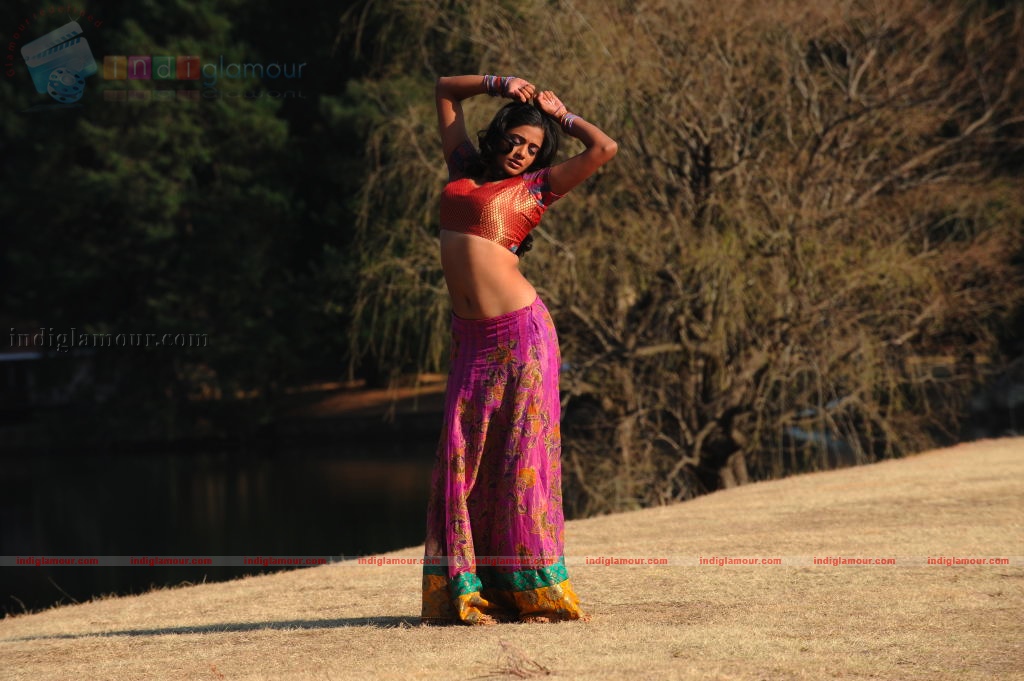 Priyamani Actress hd photo