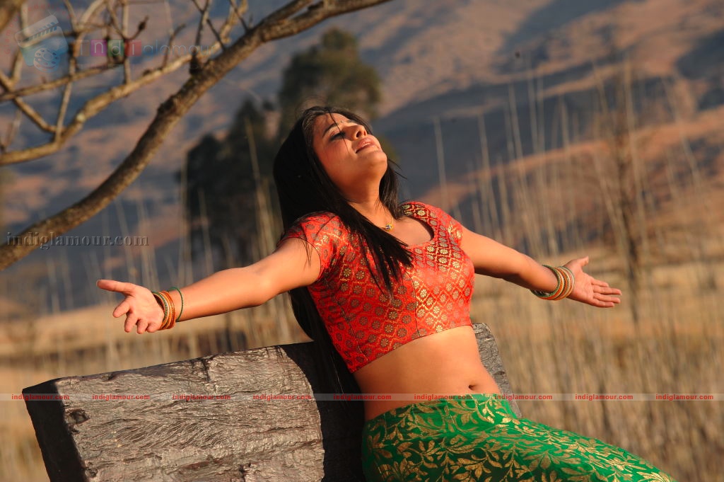 Priyamani Actress hd photo