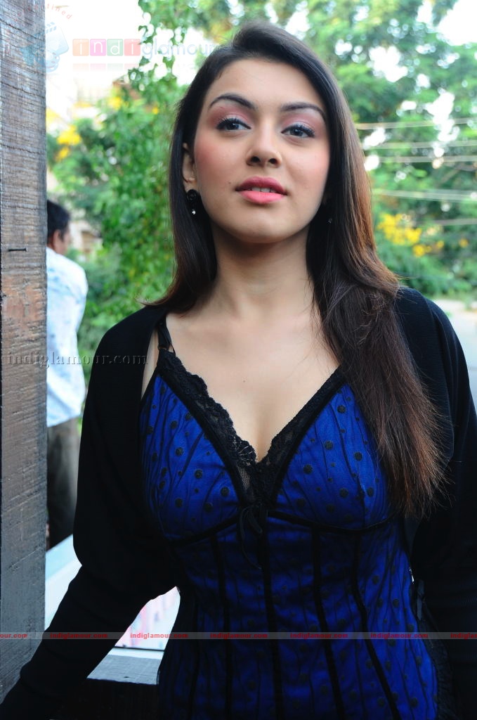 Hansika Motwani Actress hd photo
