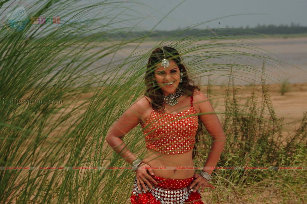 Madhu Sharma Actress hd photo