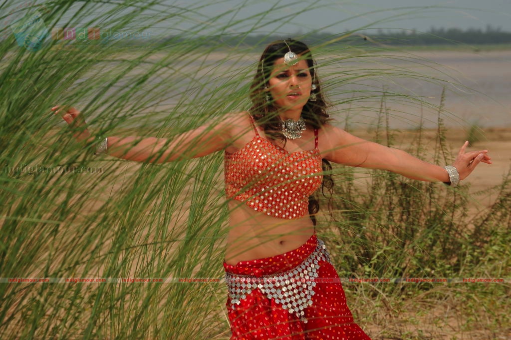 Madhu Sharma Actress hd photo