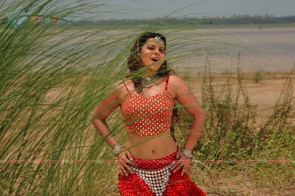 Madhu Sharma Actress hd photo