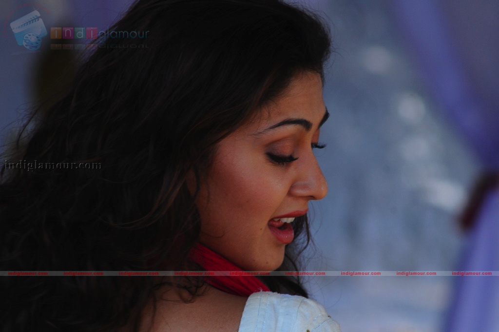Manjari Fadnis Actress hd photo