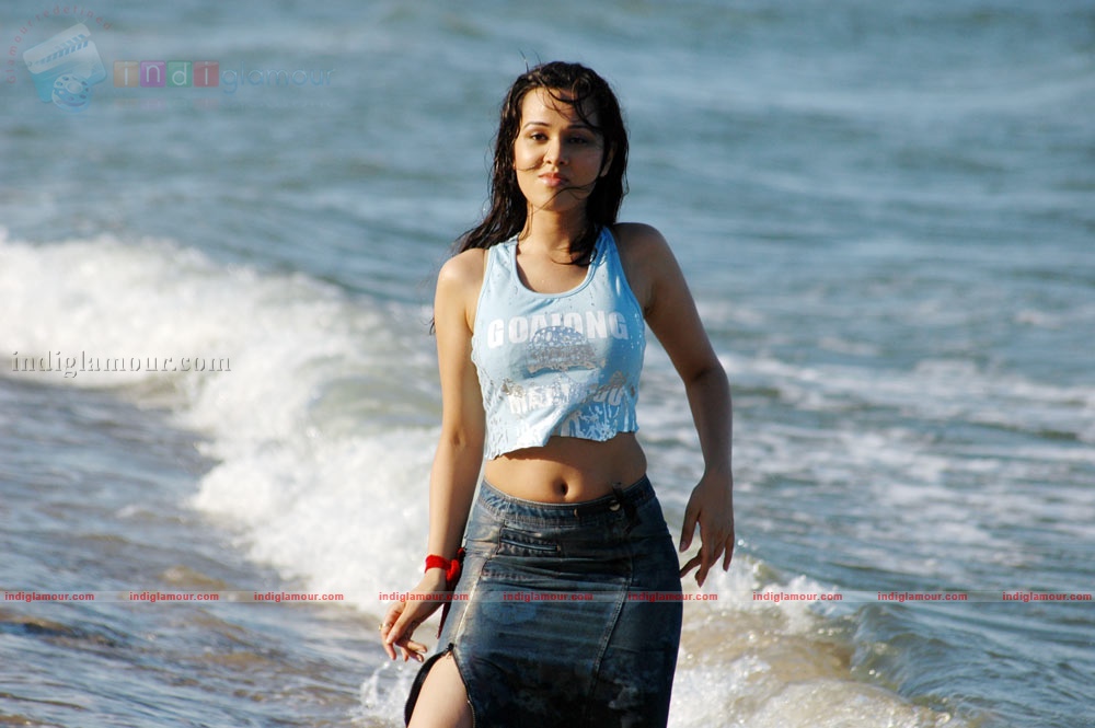 Nisha Kothari Actress hd photo