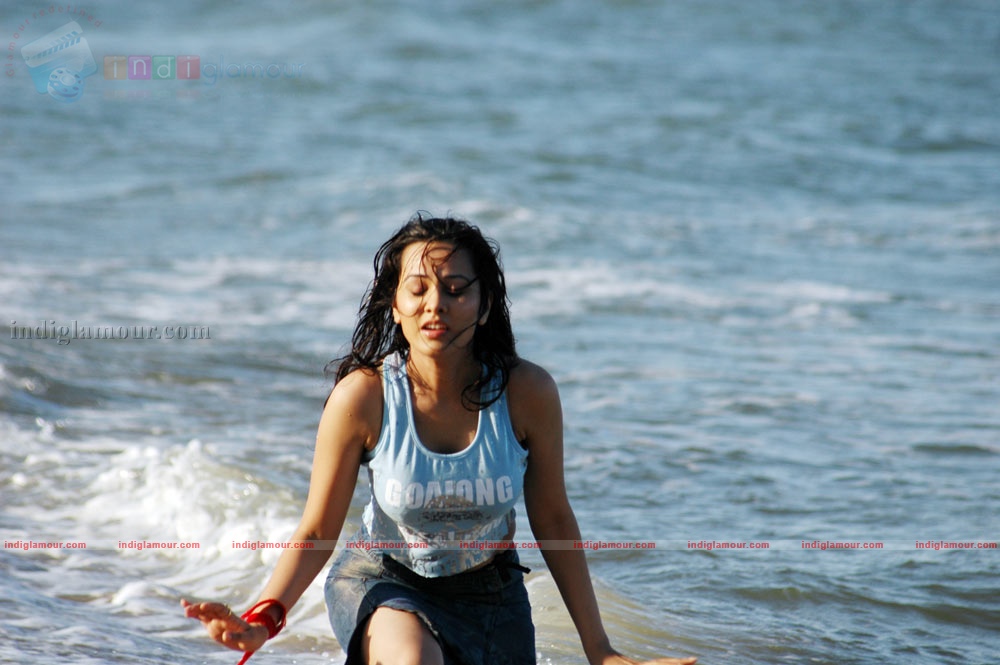 Nisha Kothari Actress hd photo
