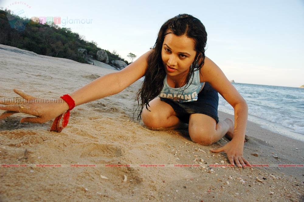 Nisha Kothari Actress hd photo