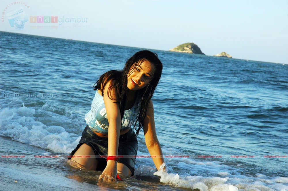Nisha Kothari Actress hd photo