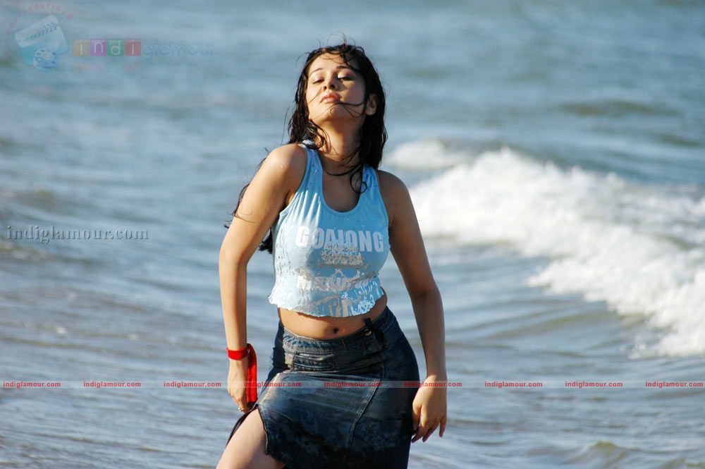 Nisha Kothari Actress hd photo